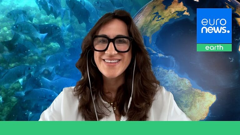 Tratado do Alto Mar redefine gestão das águas internacionais