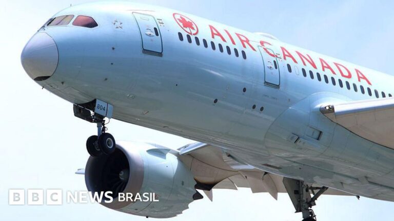 O piloto de avião que voou 17 anos sem licença
