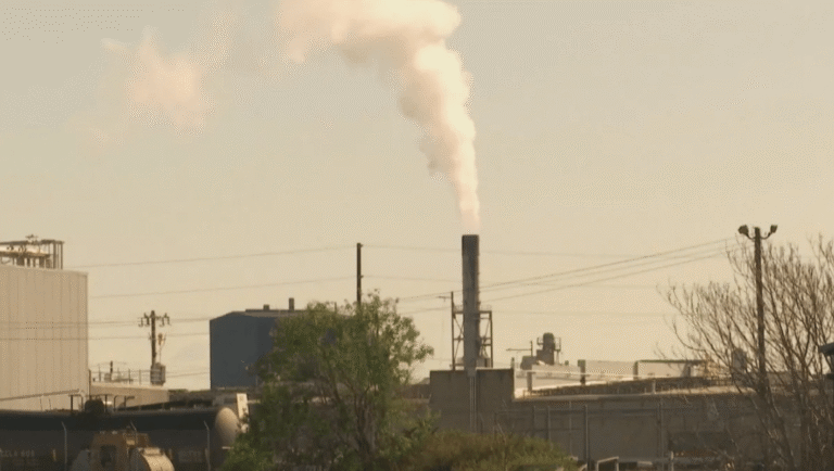 o risco de travar o mercado de crédito de carbono