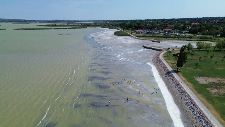 Onda de calor seca lagos e provoca falta de água na Hungria