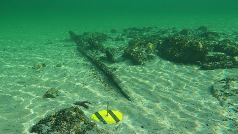 Alemanha: naufrágio medieval no lago Constança surpreende arqueólogos subaquáticos