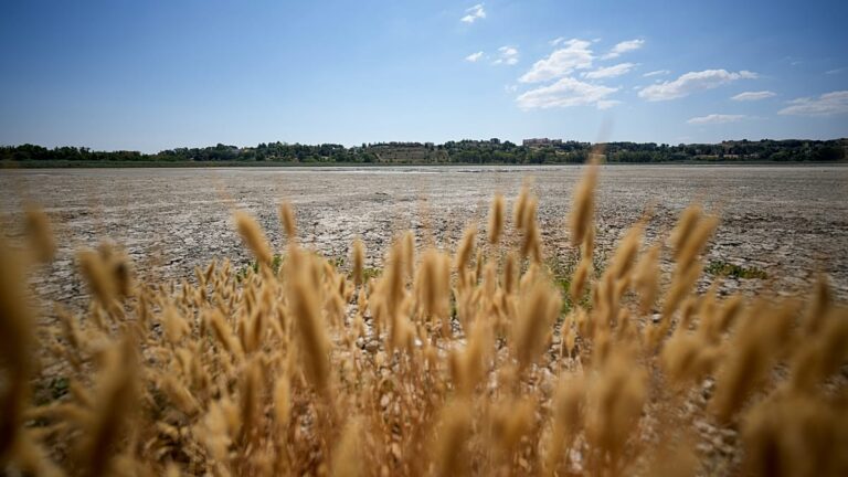 Europa: calor extremo, e não falta de chuva, está por trás das secas