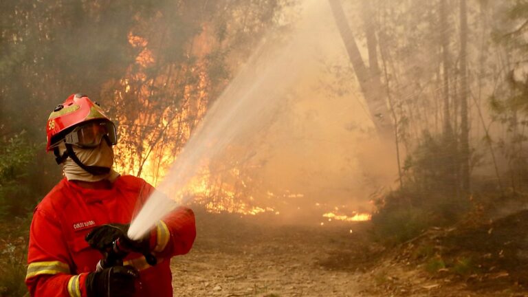 Calor em Portugal: incêndios já mobilizaram mais de mil operacionais