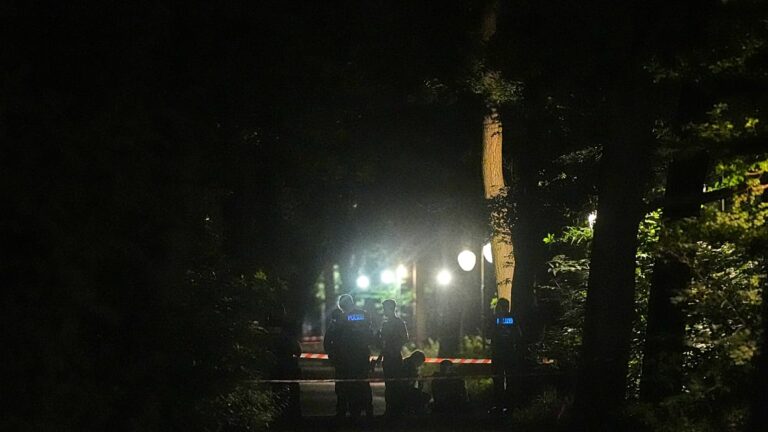 Ataque em Marcha do Orgulho em Berlim. Polícia procura suspeito que já está identificado