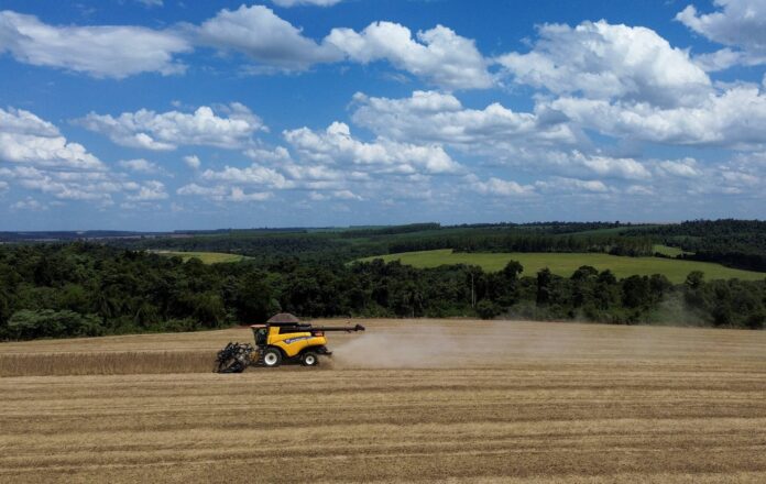 Produção de soja do Brasil pode crescer menos de 1% em 26/27, limitada por El Niño