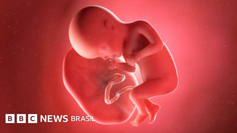 Lixo hospitalar ou remédio milagroso? Como entender o tráfico de placentas humanas