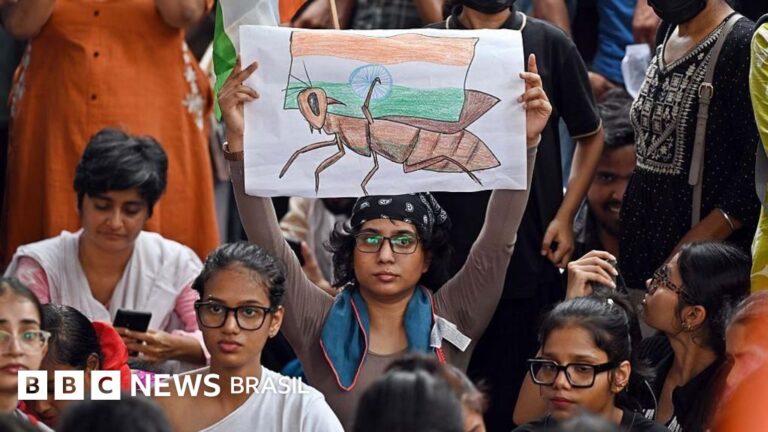 ‘Protesto das baratas’: como ato liderado por jovens aumenta pressão sobre o governo Modi