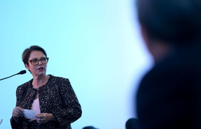 Senadora confirma conversa com Flávio sobre vice, mas nega decisão