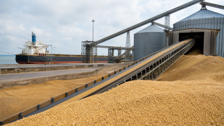 USDA informa venda de 706,6 mil toneladas de soja dos EUA