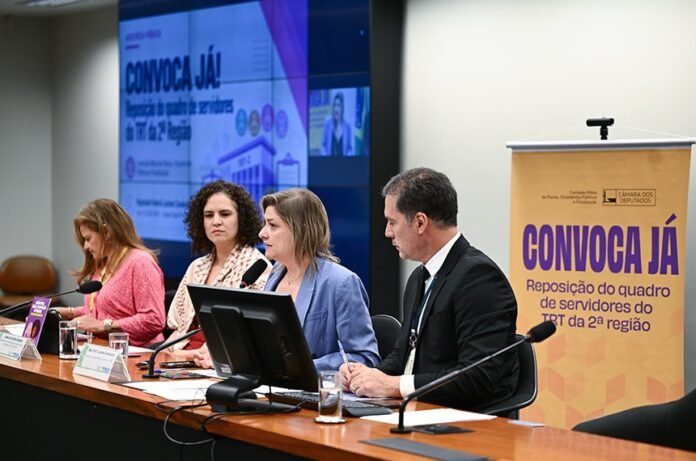 Professora Luciene Cavalcante conduz audiência na CMO sobre déficit de servidores do TRT-2
