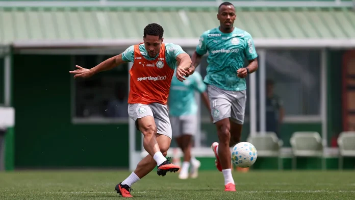 Palmeiras retoma treinos e se prepara para enfrentar o Bahia